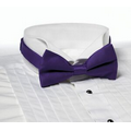 Purple Banded Bow Tie